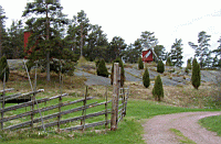 P5040074.jpg